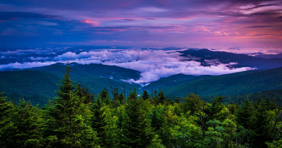 The Voice of Forestry in North Carolina North Carolina Forestry