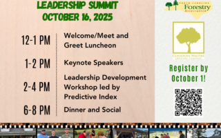 NCFA Young Professionals Leadership Summit