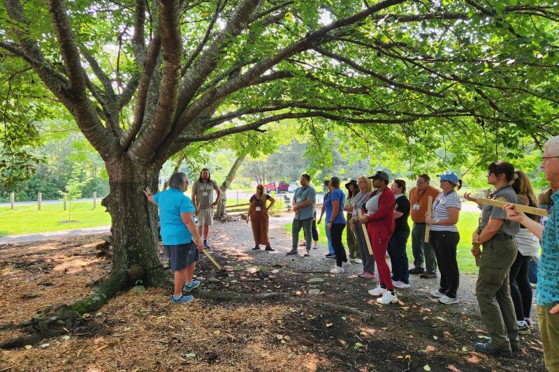 Educators gathered under a large tree during an NC Project Learning Tree workshop