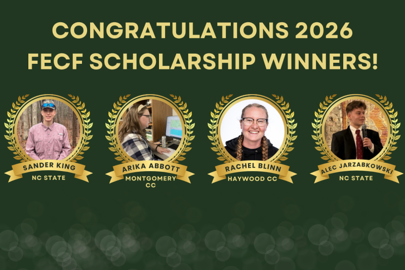 Scholarships