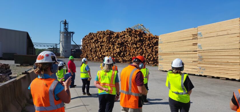 Sustainable Forestry Teachers Experience 