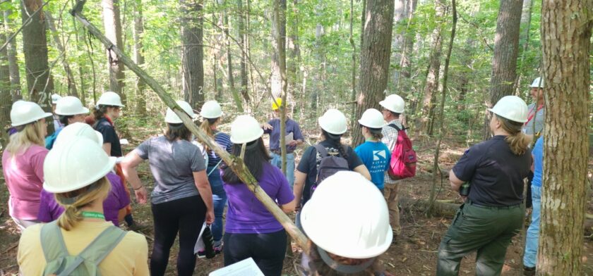 Sustainable Forestry Teachers Experience 