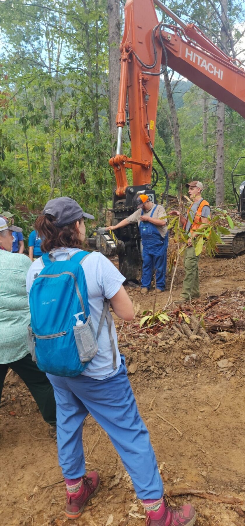Sustainable Forestry Teachers Experience 