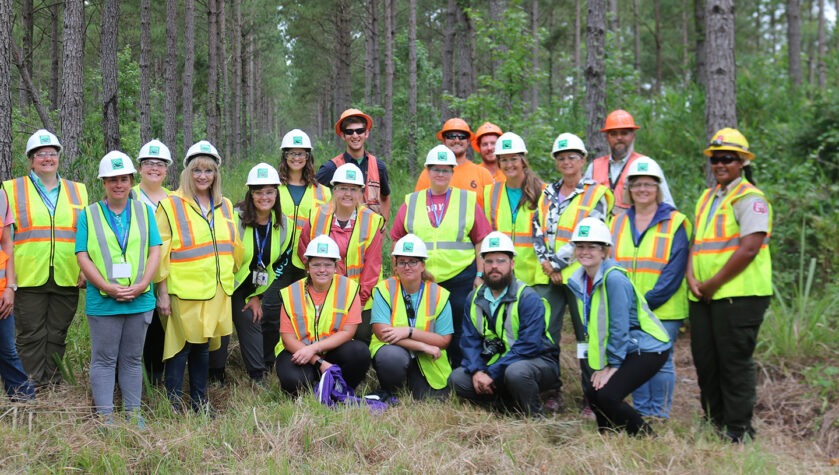 Sustainable Forestry Teachers Experience 