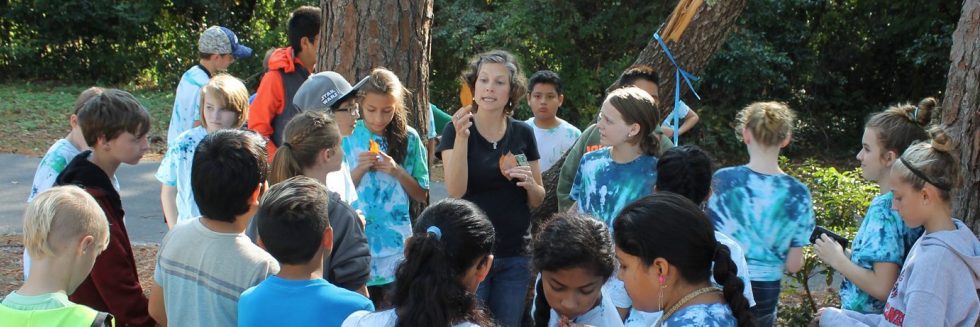 Project Learning Tree