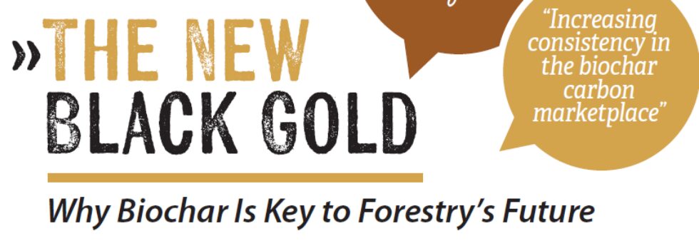  TreeLine Magazine Articles 2026