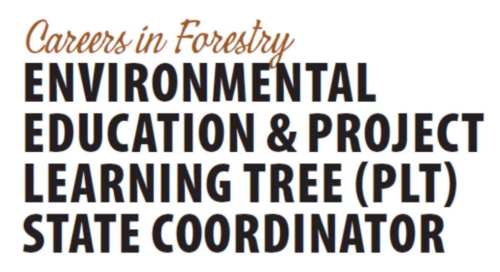  TreeLine Magazine Articles 2026