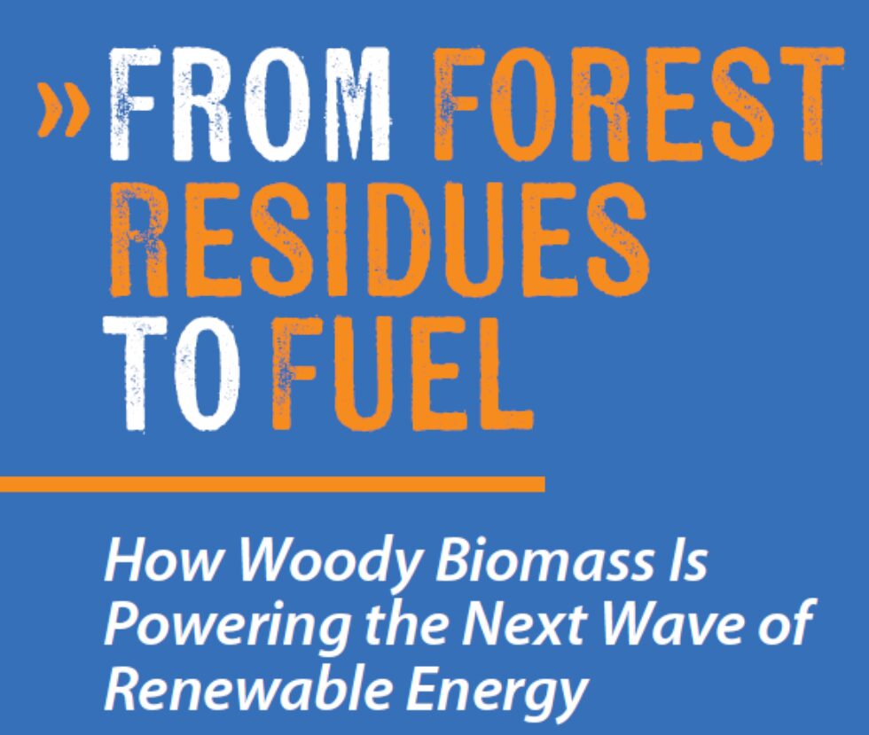  TreeLine Magazine Articles 2026