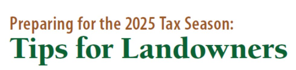  TreeLine Magazine Articles 2026