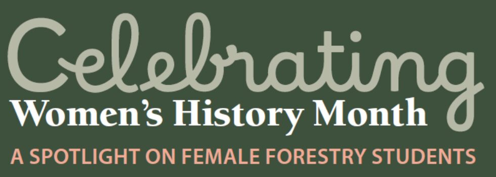  TreeLine Magazine Articles 2026