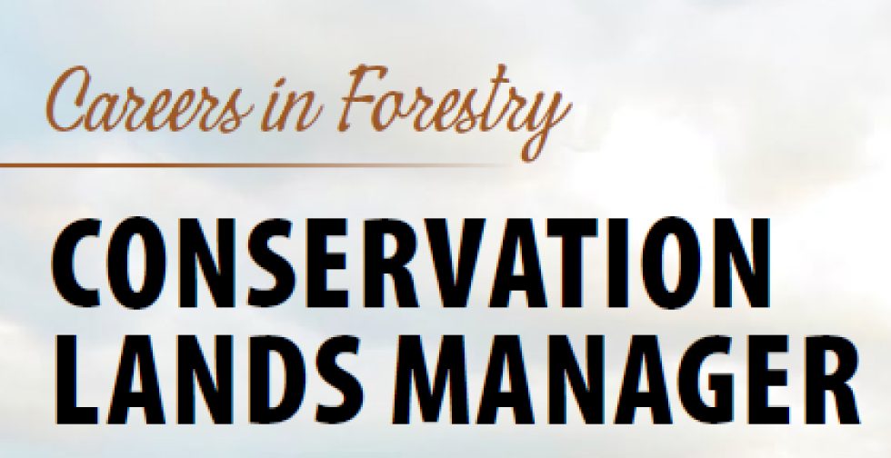  TreeLine Magazine Articles 2026