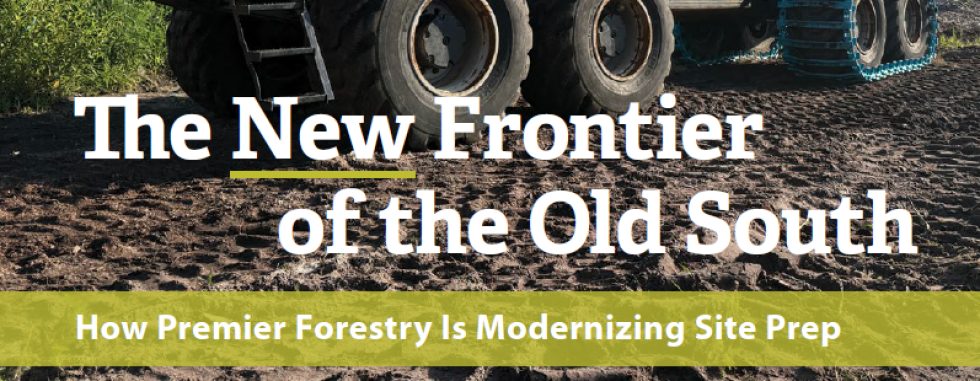  TreeLine Magazine Articles 2026